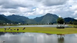 Jelajahi Danau Tarusan Kamang
