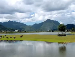 Jelajahi Danau Tarusan Kamang: Pesona Wisata Alam di Kabupaten Agam, Sumatera Barat 13 Jelajahi Danau Tarusan Kamang: Pesona Wisata Alam di Kabupaten Agam, Sumatera Barat