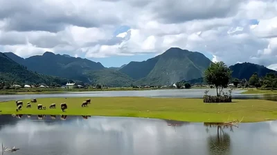Jelajahi Danau Tarusan Kamang