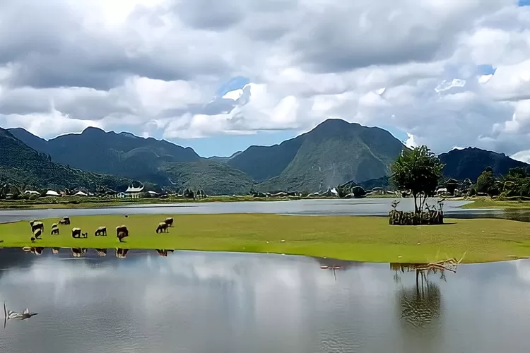 Jelajahi Danau Tarusan Kamang