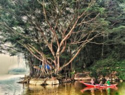 Review Lengkap Objek Wisata Taman Tirtasari di Kabupaten Agam