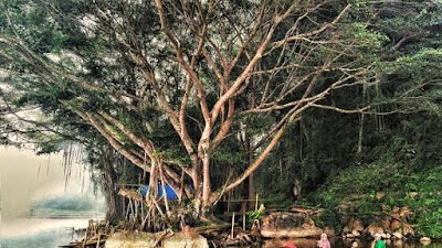 Review Lengkap Objek Wisata Taman Tirtasari di Kabupaten Agam