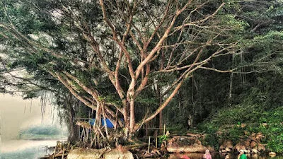 Review Lengkap Objek Wisata Taman Tirtasari di Kabupaten Agam