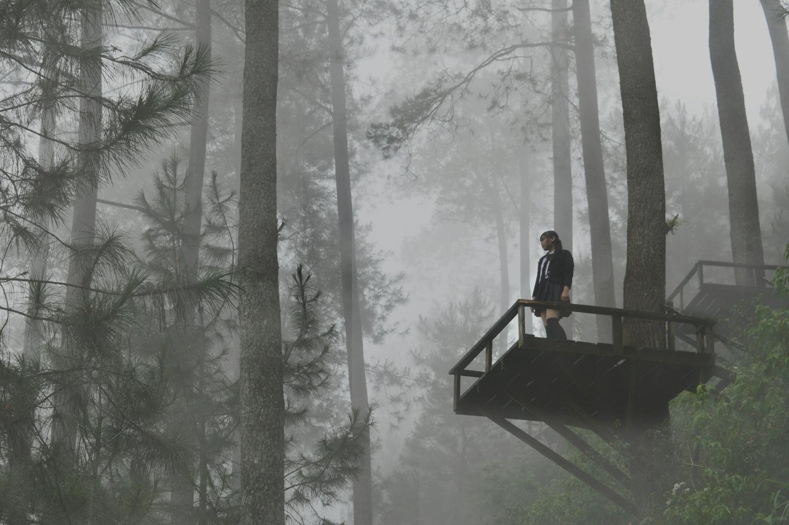 Objek wisata Payakumbuh menampilkan keindahan alam, pasar tradisional, serta kuliner khas Minang yang memukau