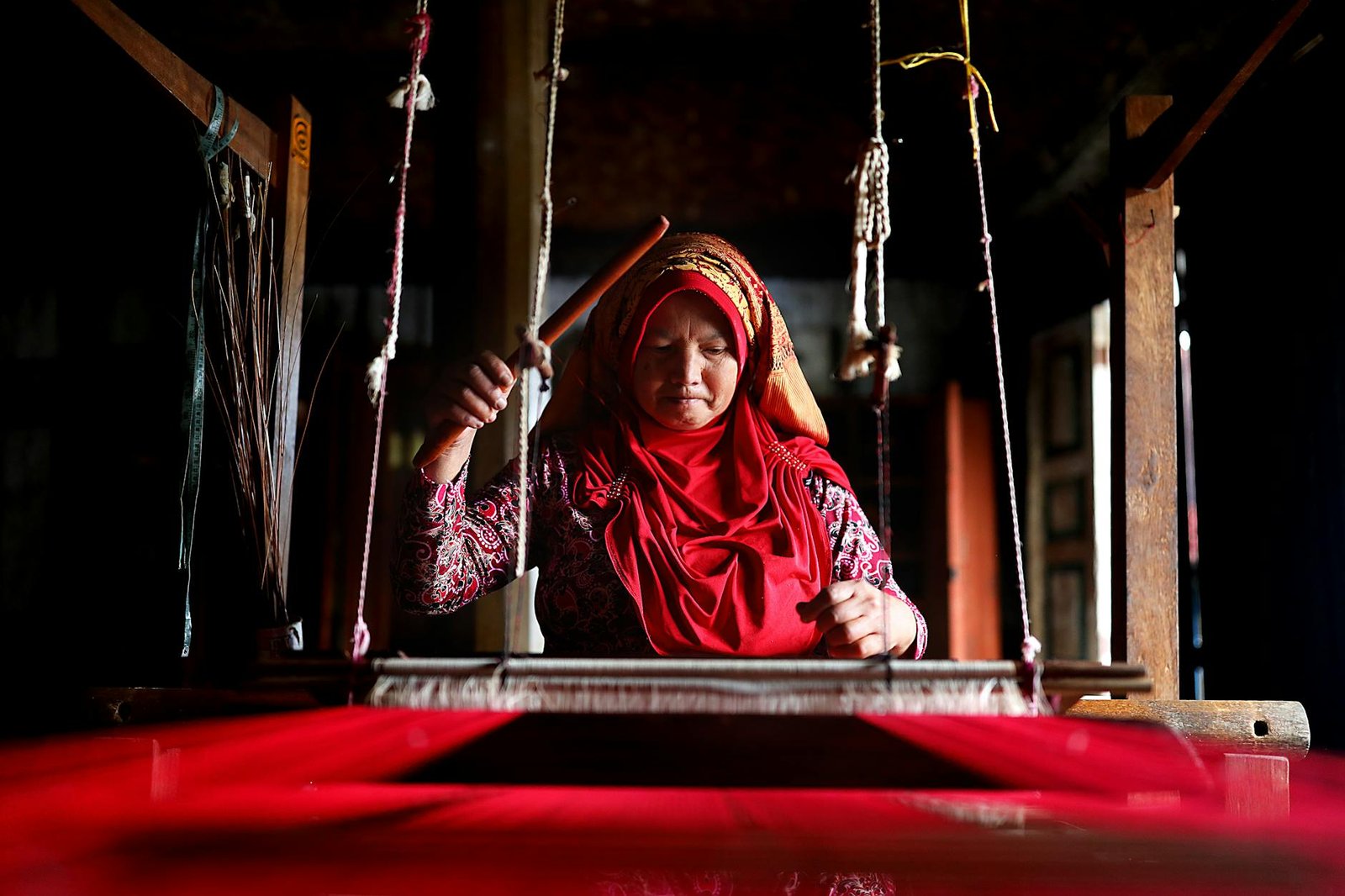 pexels photo 37099768