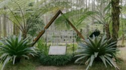 Pesona alam dan kuliner kekinian di wisata Bandung terbaru yang memikat hati pengunjung.