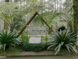 Tips Hemat, 5 Wisata Bandung Terbaru ala Anak Kost!